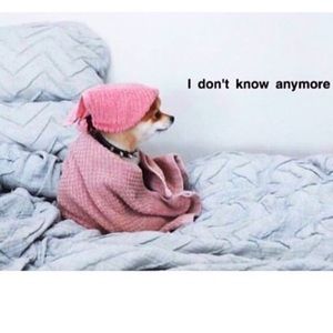 Meet your Posher, Genia